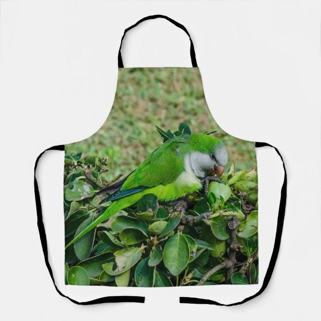 Delantal Loro verde (Anverso)