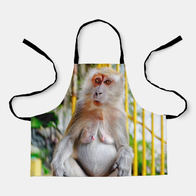 Delantal Macaco cangrejero (Anverso)