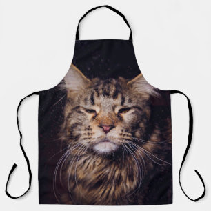 Delantal maine coon sobre un fondo negro joven, gato, c