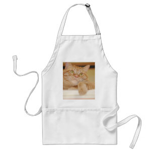 Delantal Naranja Tabby Cat
