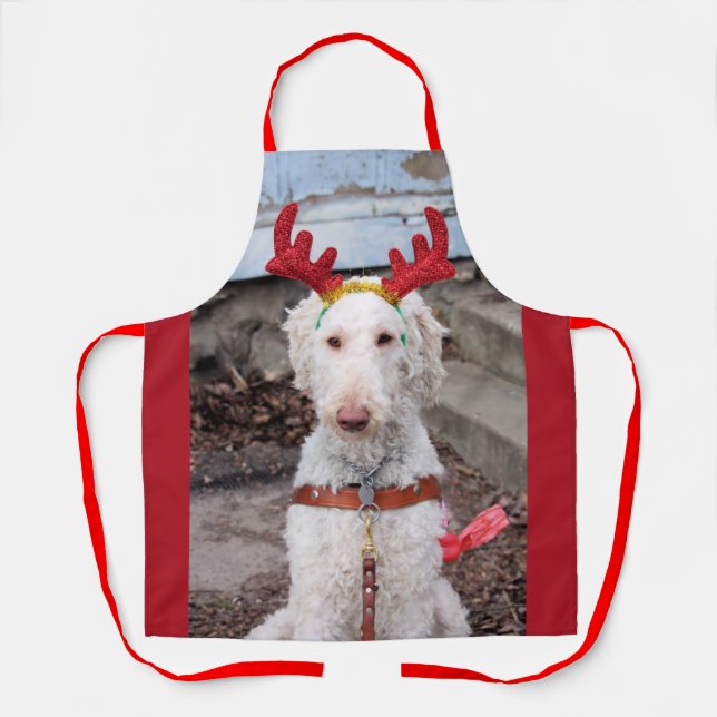 Delantal Navidades Ollie (Anverso)