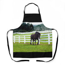 Nonesuch en Cedar Point Apron