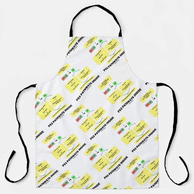 Delantal p53 Caminos dentro de la biología molecular celula (Anverso)