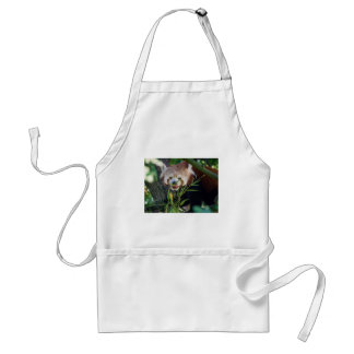 Delantal panda roja hambrienta