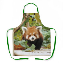 Panda rojo