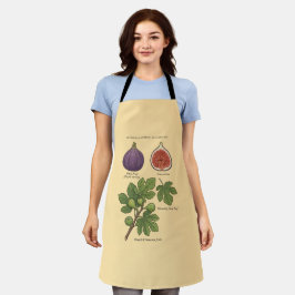 Delantal Planche Botanique Figue Ficus Carica