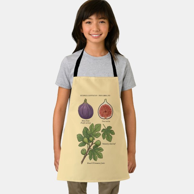 Delantal Planche Botanique Figue Ficus Carica  (in situ)