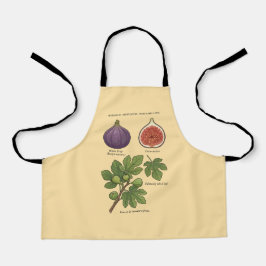 Delantal Planche Botanique Figue Ficus Carica 