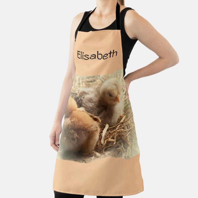 Delantal pollitos pollos con almohada de plumas (in situ)