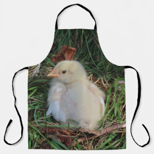 Delantal pollo, pollito, granja, animal, ave, aves de corra