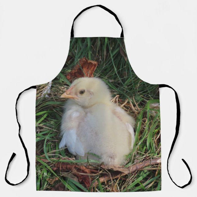 Delantal pollo, pollo, granja, animal, ave, ave, gallina, (Anverso)