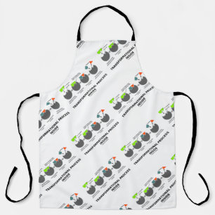 Delantal Proceso de transformación dentro del sustrato enzi