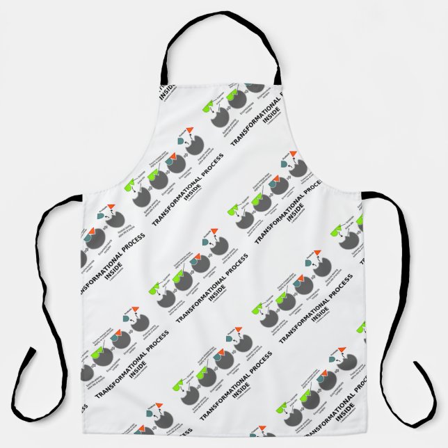 Delantal Proceso de transformación dentro del sustrato enzi (Anverso)