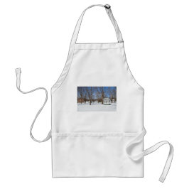 Delantal Pueblo Típico de Vermont en Invierno