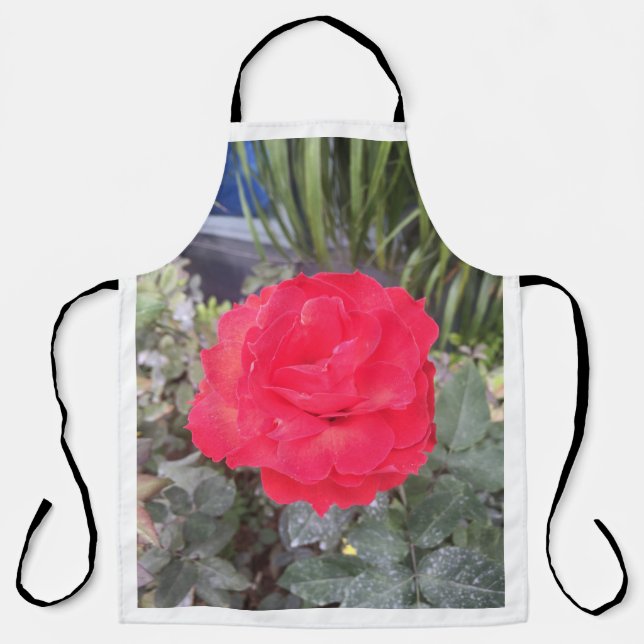 Delantal puntear en (Anverso)