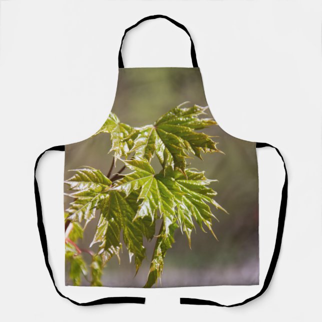 Delantal Ramia de arce verde liso con hojas pequeñas (Anverso)