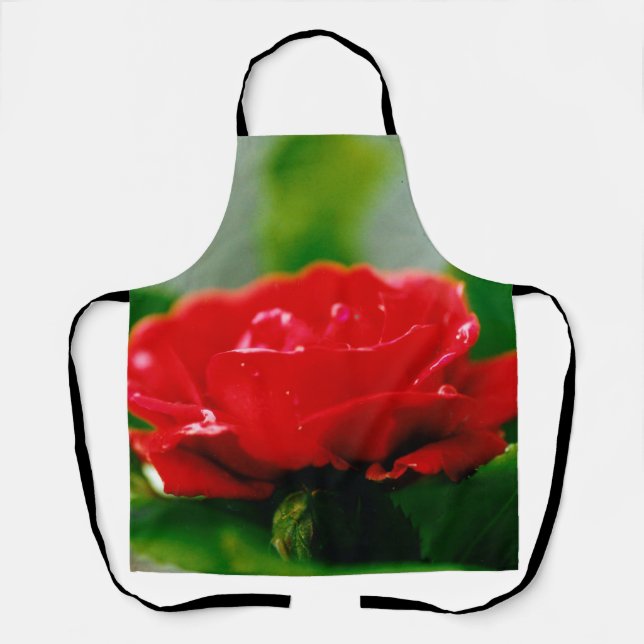 Delantal Rosa roja matutina cubierta de rocío (Anverso)