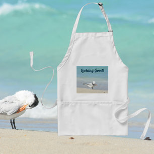Delantal Royal Tern Seabird en la playa
