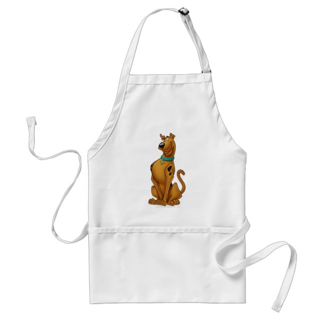 Delantal Scooby-Doo Airbroche (Frente)