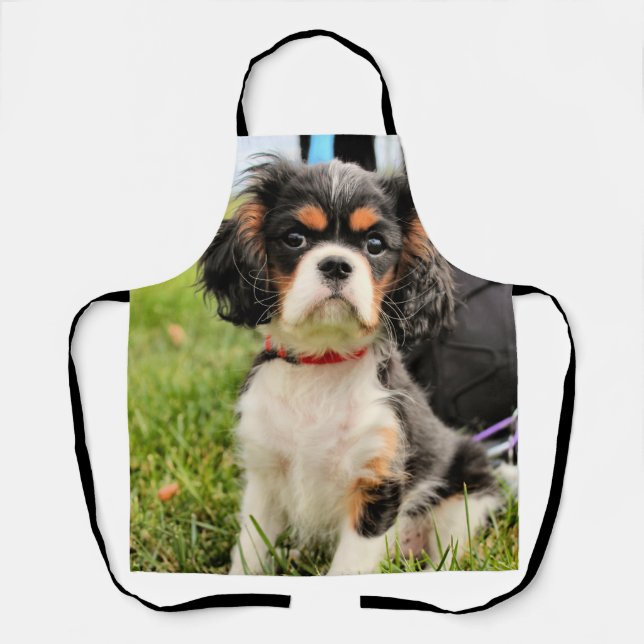 Delantal Serio (Anverso)