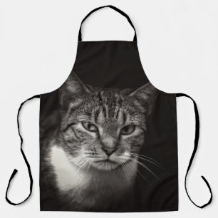 DELANTAL SILVER TABBY CAT