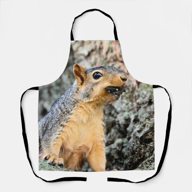 Delantal Snacker de Cicada (Anverso)