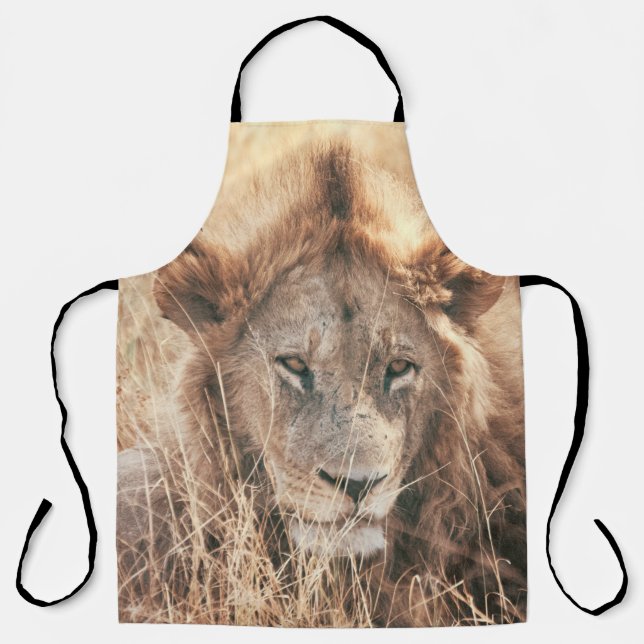 DELANTAL SR. LION KING (Anverso)