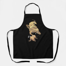 Stellar Capricorn Saturn Zodiac