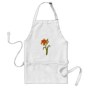 Delantal Tawny daylily