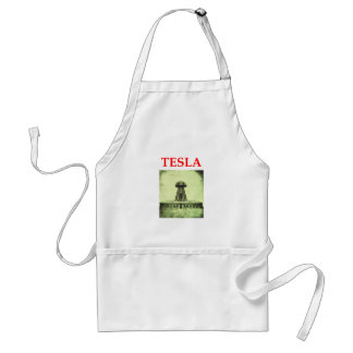 Delantal tesla