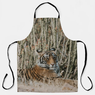 DELANTAL TIGER IN THE WILD RESTING