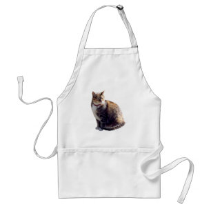 Delantal Tortoiseshell Cat