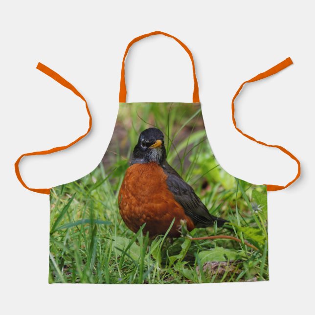 Delantal Un curioso Robin Americano en la hierba (Anverso)