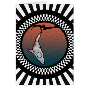 delfín cocoon