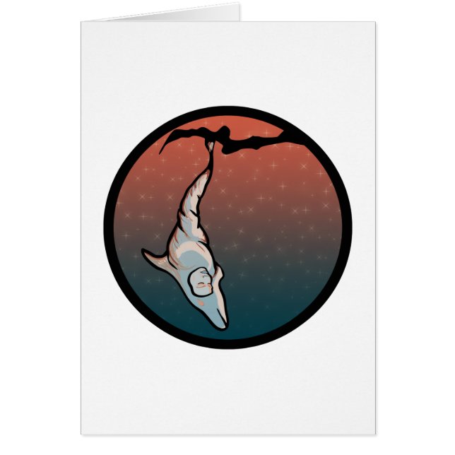 delfín cocoon (Frente)