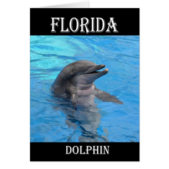 Delfín de Florida (Frente)