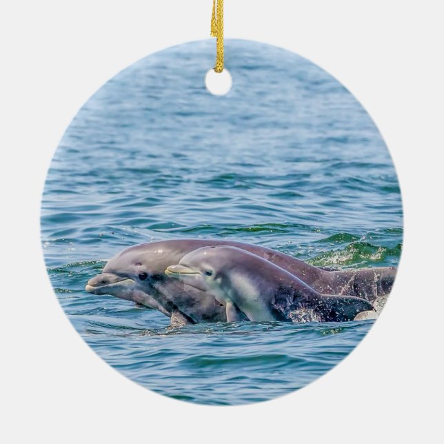 Delfín del amor de madre y ornamento del bebé (Atrás)