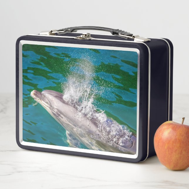 Delfín En Milford Sound, Nueva Zelanda (In situ)