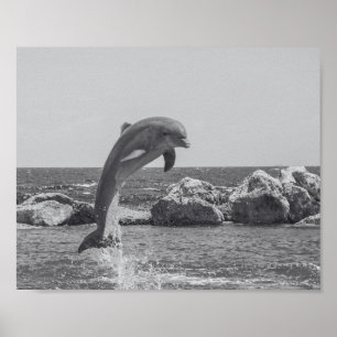 Delfín negro y blanco: arte tropical imprimible