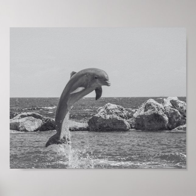 Delfín negro y blanco: arte tropical imprimible (Frente)