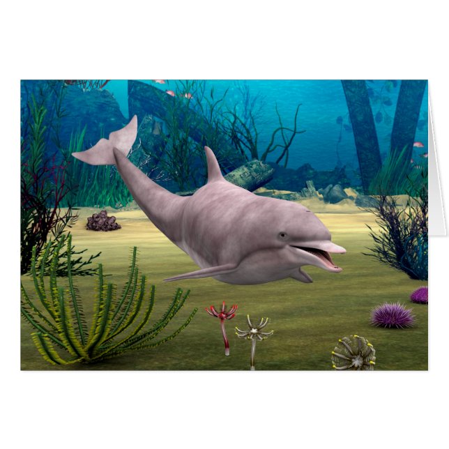 Delfín sonriente (Anverso (Horizontal))