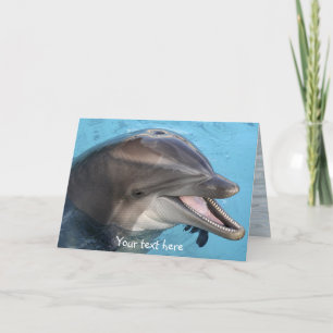 delfín, tarjeta