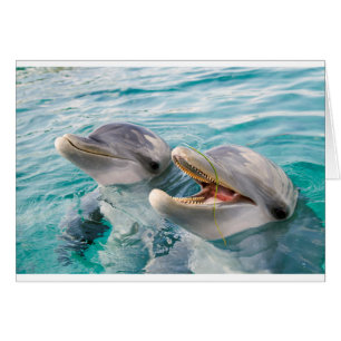 Delfines