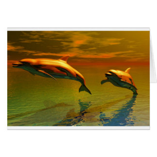 Delfines al atardecer
