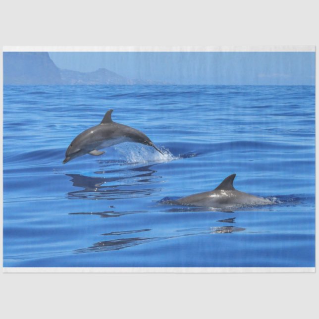 Delfines Bañando Papel de tejidos de la desunión o (Anverso)