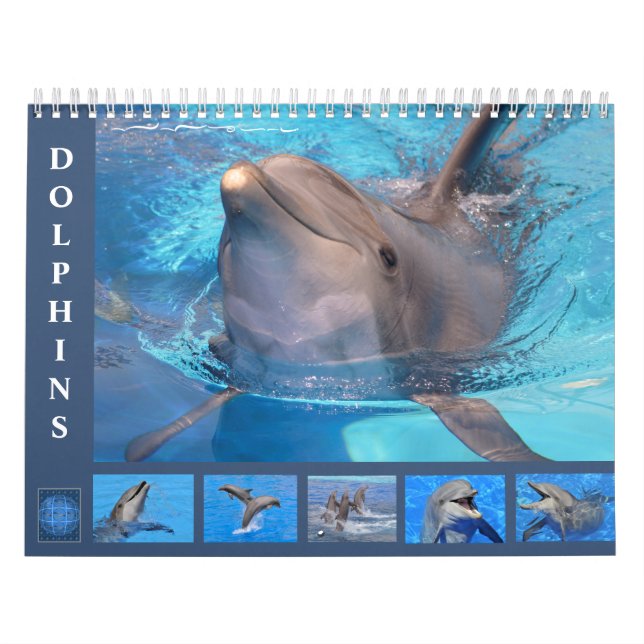 Delfines botellas calendario de 12 meses (Tapa)