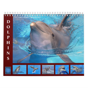 Delfines botellas calendario de 12 meses