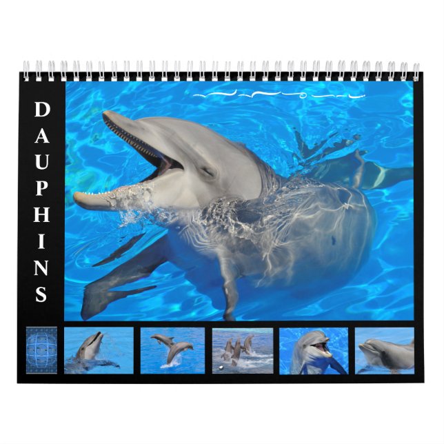 Delfines botellas calendario de 12 meses (Tapa)