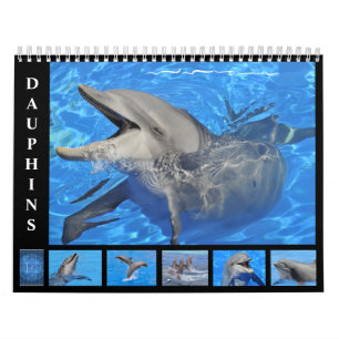 Delfines botellas calendario de 12 meses
