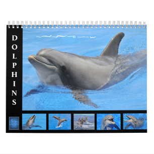 Delfines botellas calendario de 12 meses